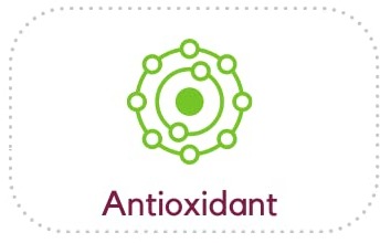 Antioxidant