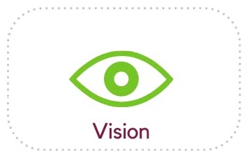 Vision